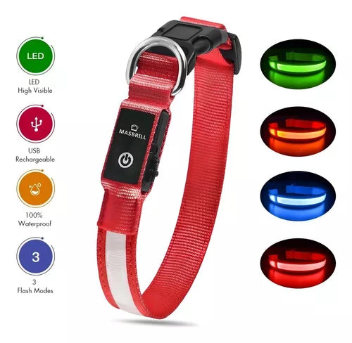 Correa y Collar Led Para Caninos ® - XARBENcompany